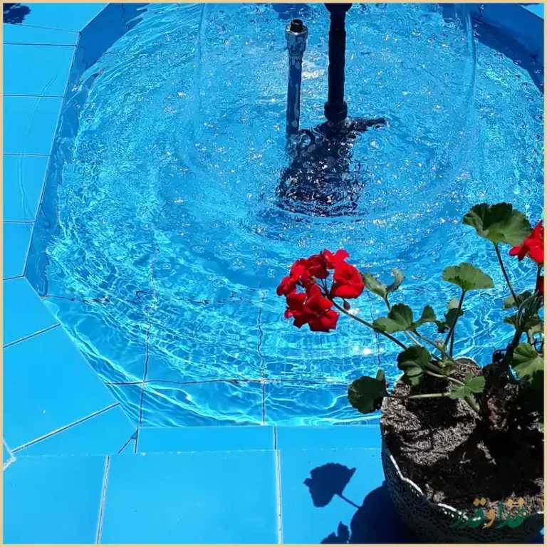 رستوران شور کولی