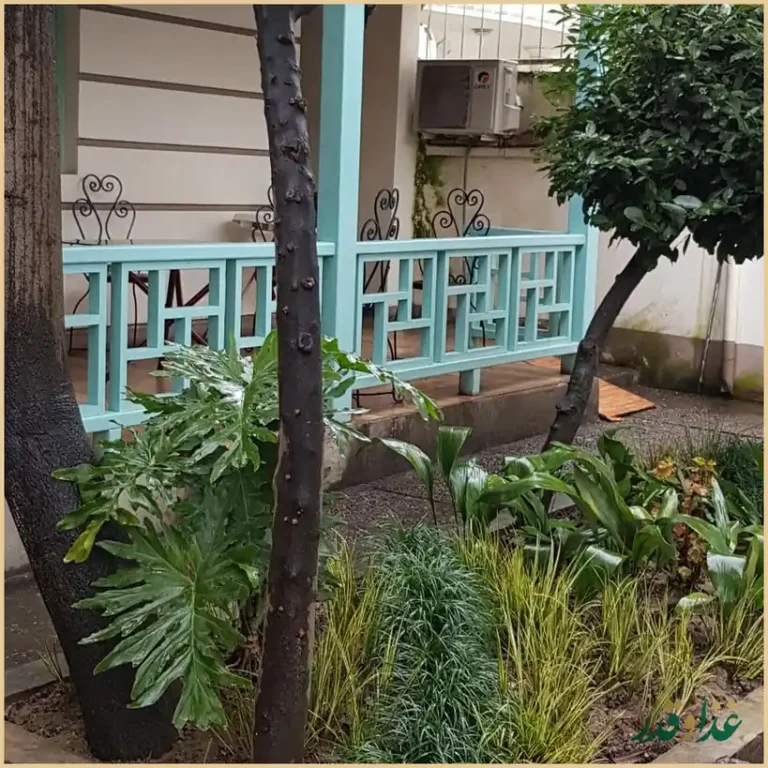 رستوران شور کولی