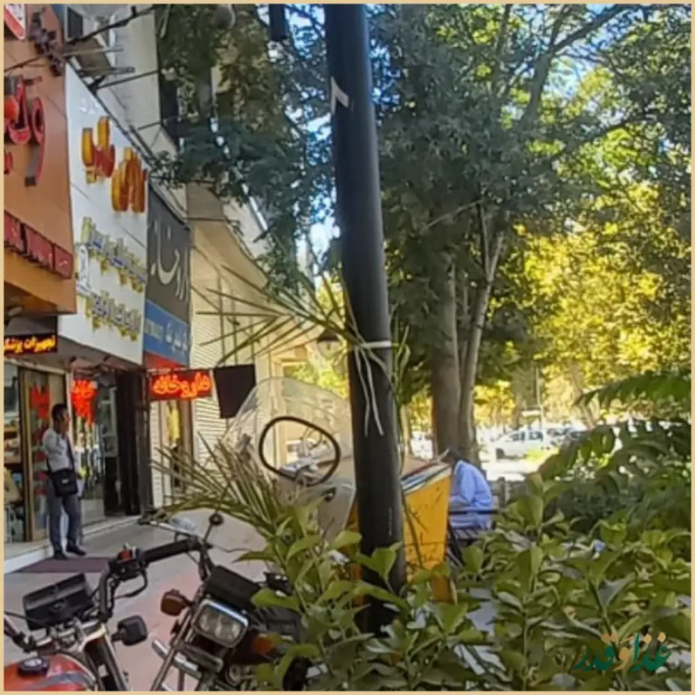 فست فود وحید