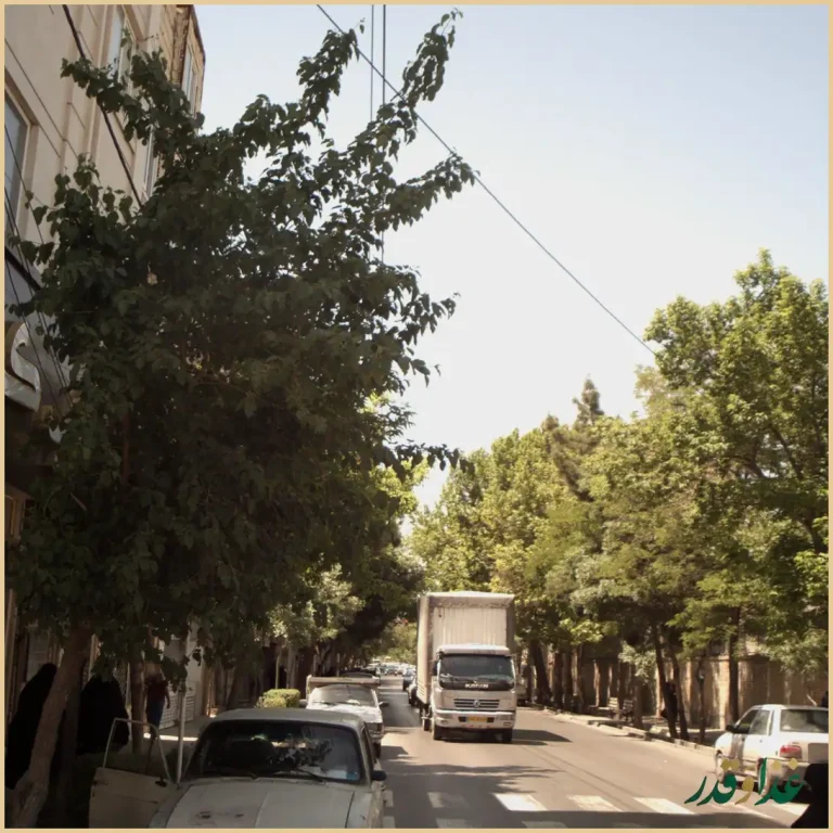 کباب کریم خان