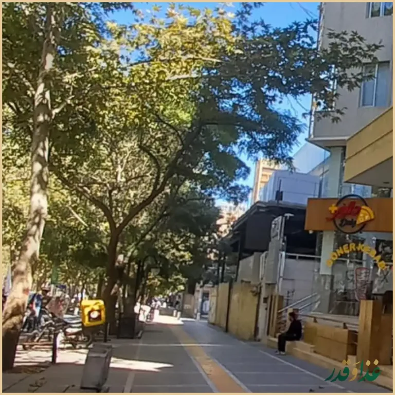 پیتزادالیز