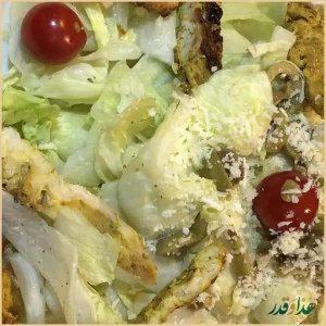 پیتزا پرنیان