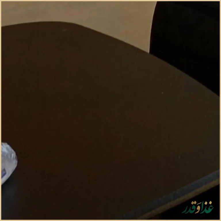 مجموعه غذایی شاهان