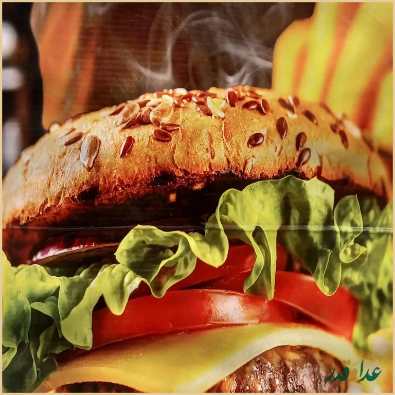 مجموعه غذایی شاهان