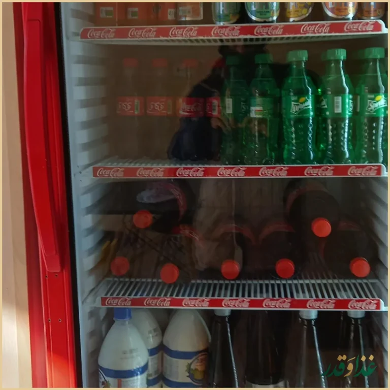 مجموعه غذایی شاهان