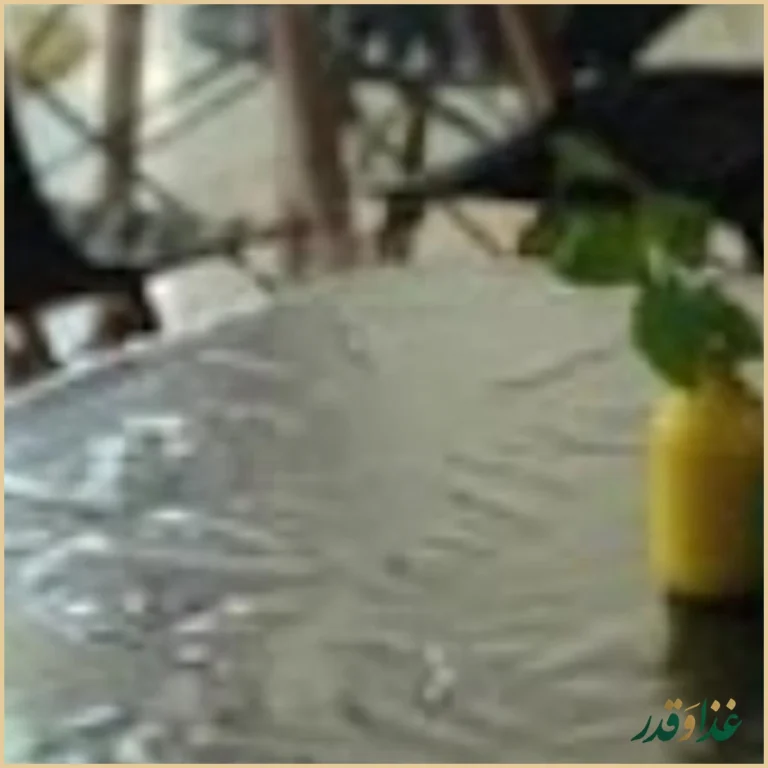 مجموعه غذایی شاهان