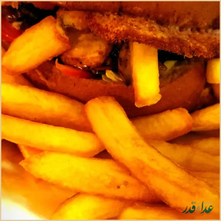 پیتزا ساندویچ مهشاد