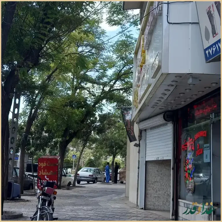 پیتزا ساندویچ مهشاد