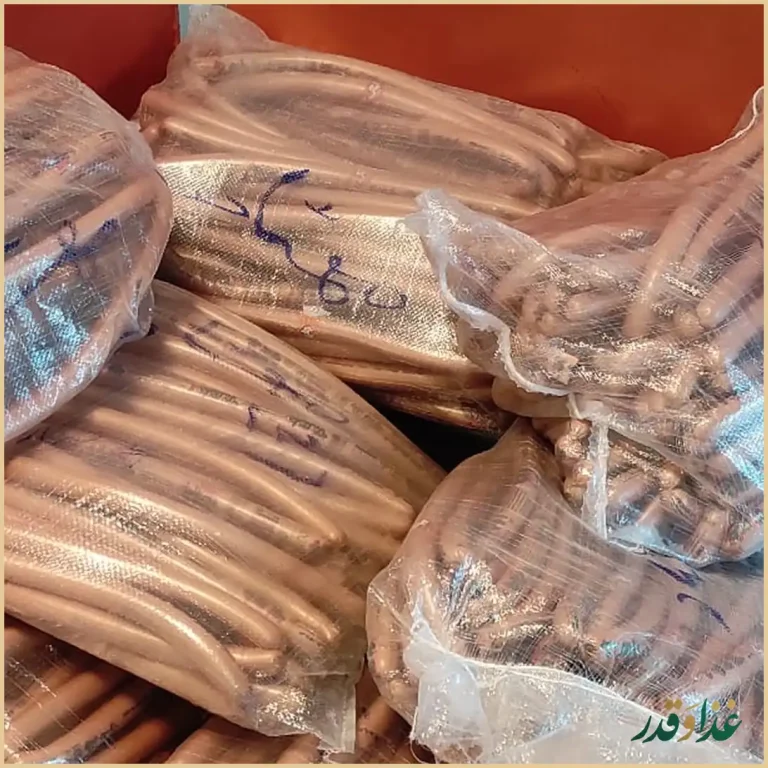 پیتزا ساندویچ مهشاد