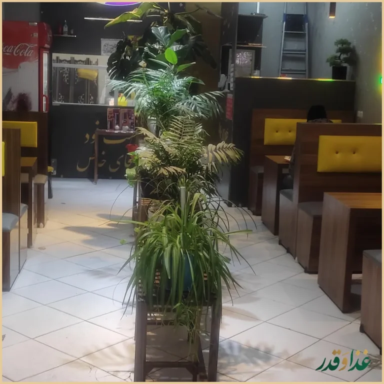 فست فود آقای خاص