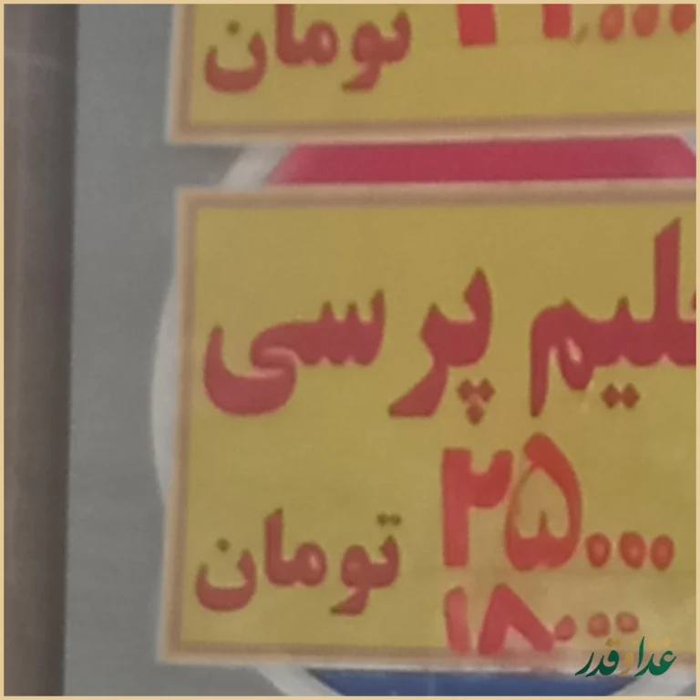 حلیم حاجی طوسی