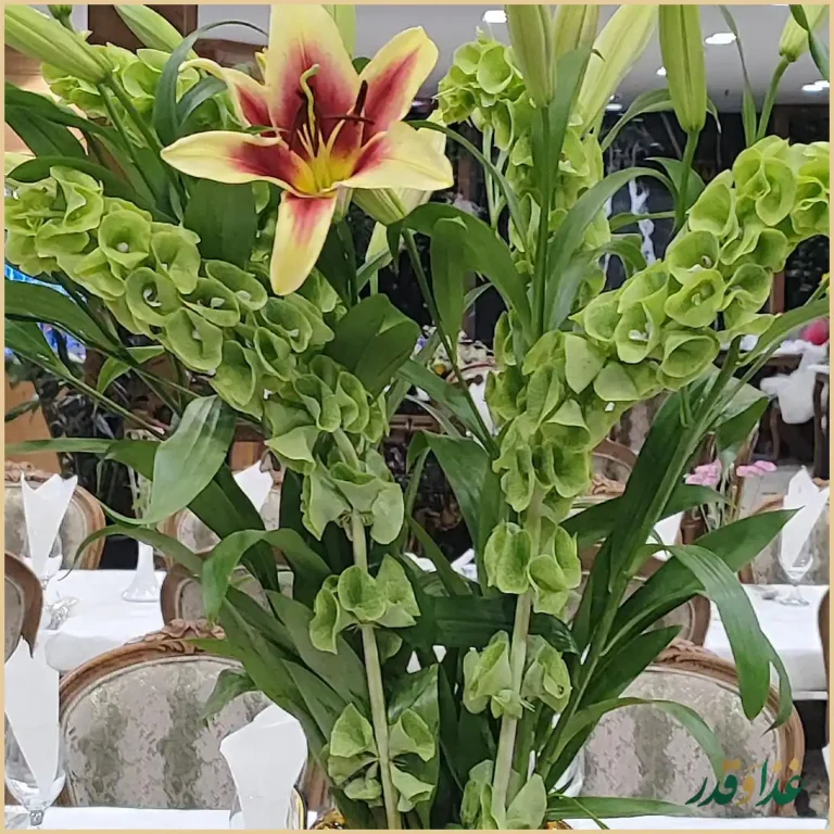 رستوران ایرانی افخمی