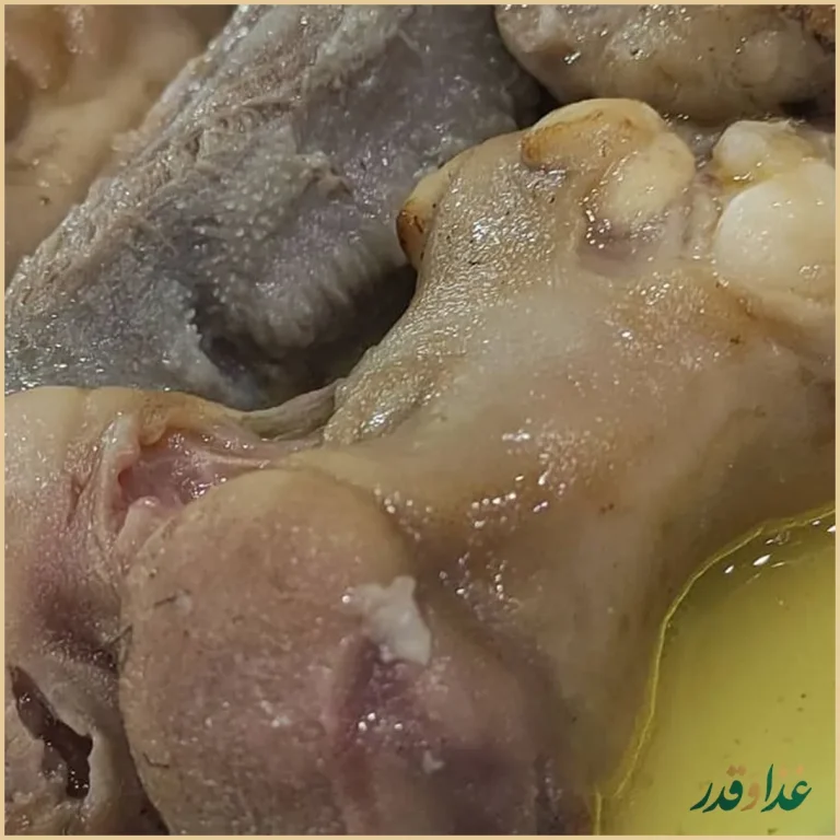 طباخی کیانوش رشت