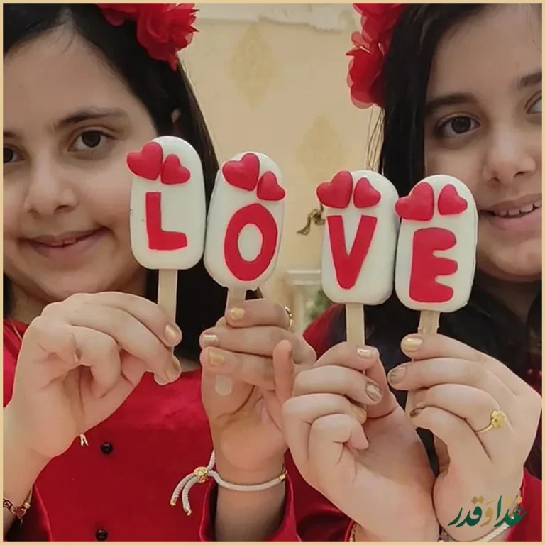 طباخی کیانوش رشت