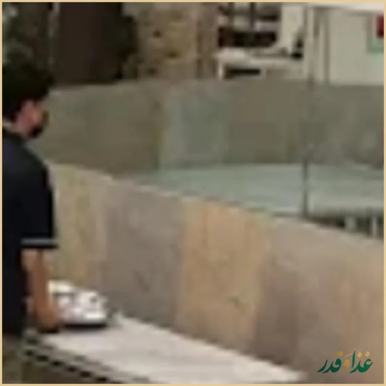 دیزی سرا صالحی