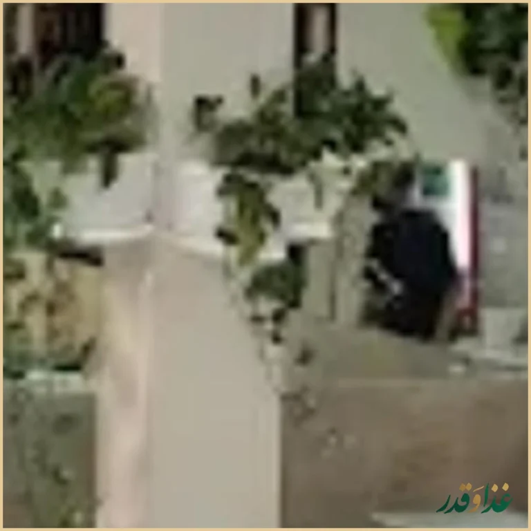 دیزی سرا صالحی