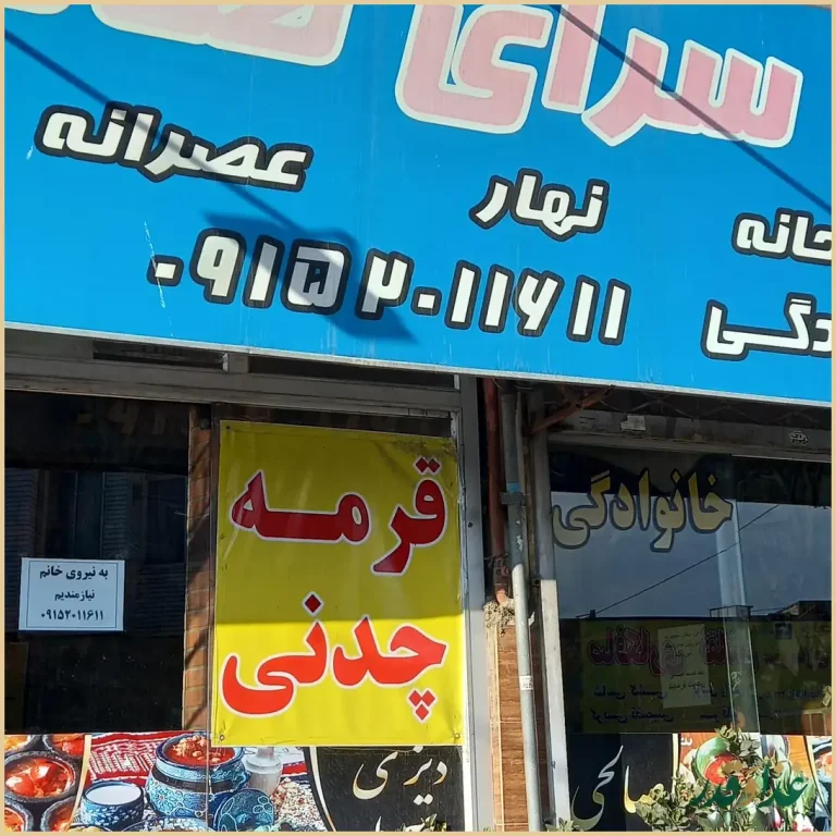 دیزی سرا صالحی