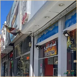 فست فود دایتی