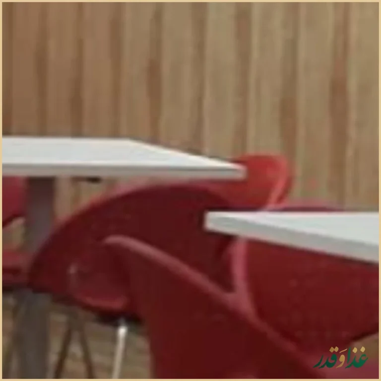 فست فود دایتی