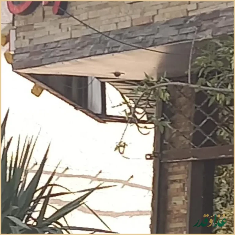 آقای سیب زمینی