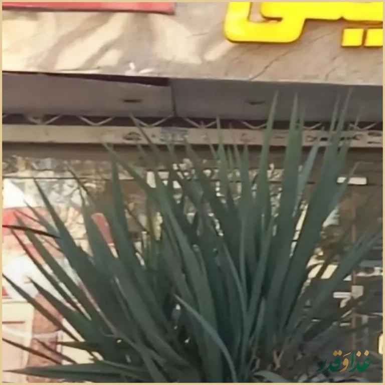 آقای سیب زمینی