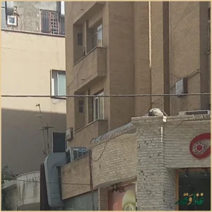 ساندویچ نوژان