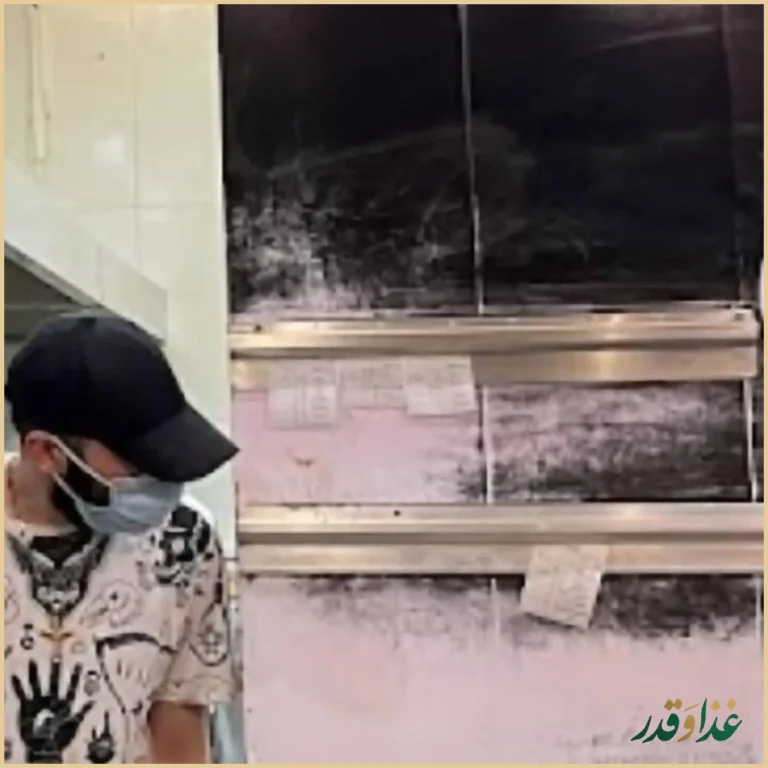 پیتزا دانگو