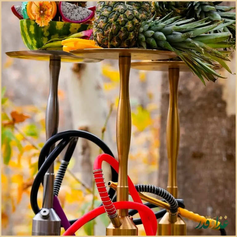 مجتمع گردشگری و پذیرایی قصر خورشید طرقبه