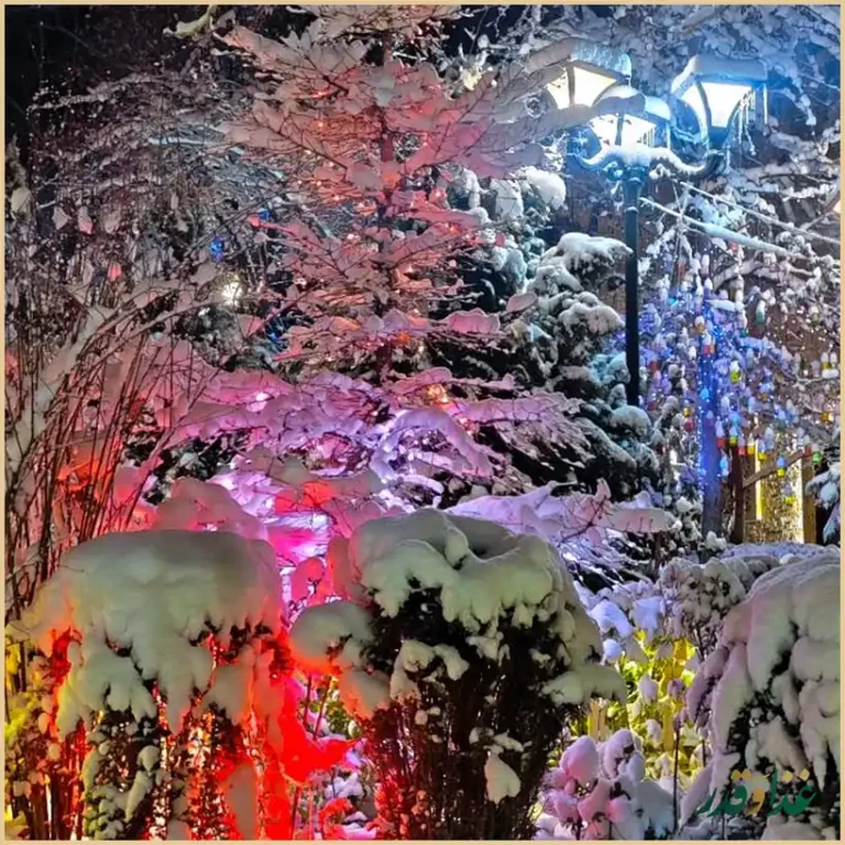 مجتمع گردشگری و پذیرایی قصر خورشید طرقبه