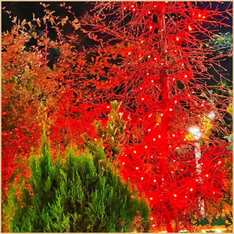 مجتمع گردشگری و پذیرایی قصر خورشید طرقبه