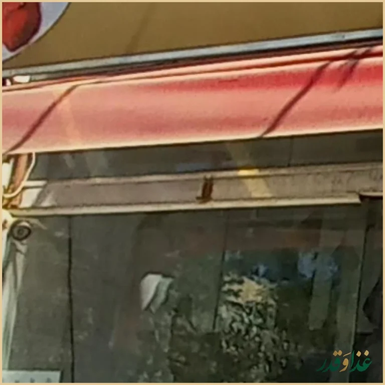 کباب ساطوری بناب آذربایجان